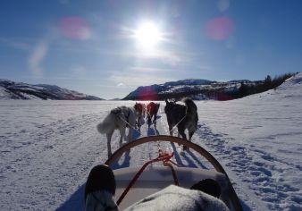 Hundekjoring-Tromso-Norge-HGR-105125-_Foto_Photo_Competition