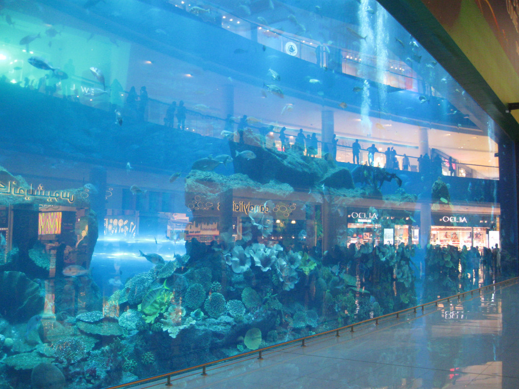 original_Dubai Mall Aquarium