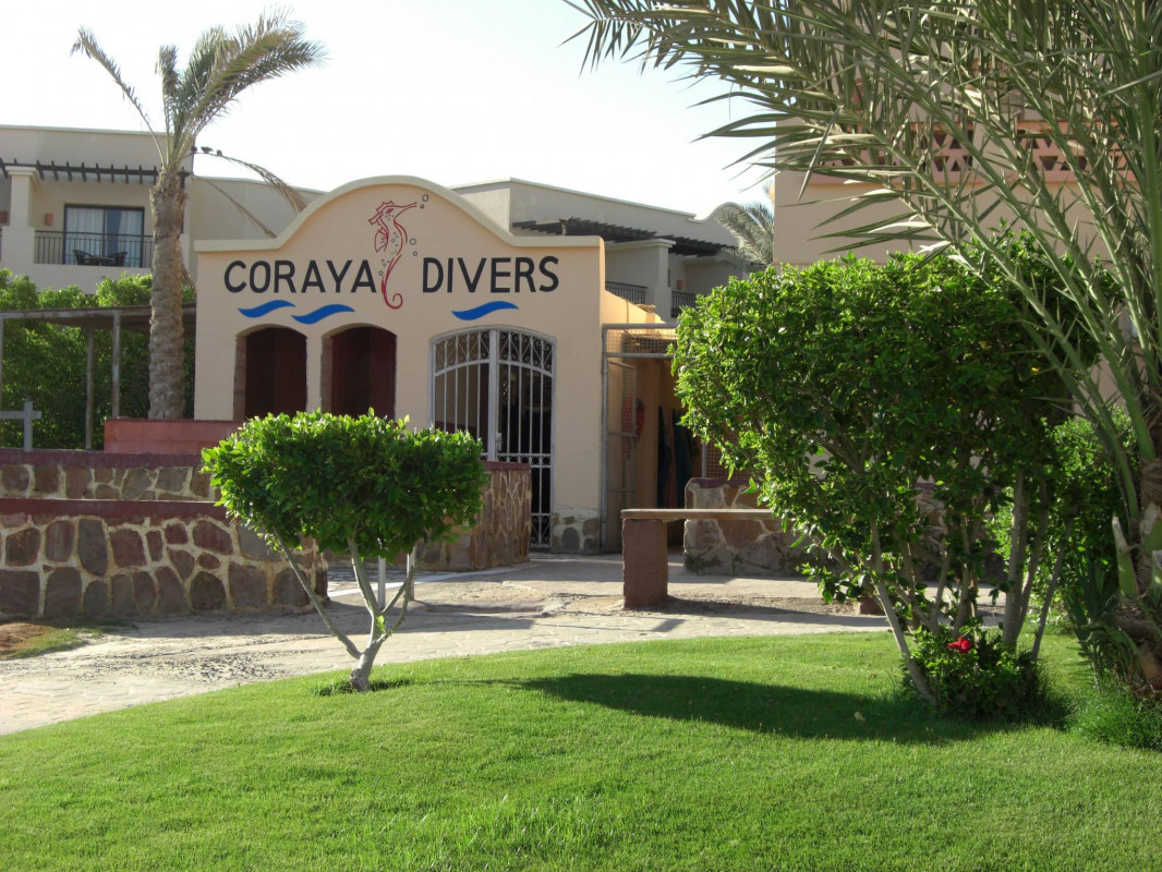 original_Coraya_Divers