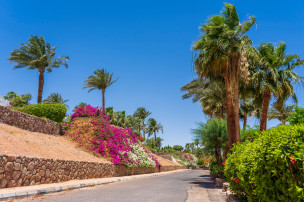 original_Resort_Park_Sharm_El_Sheikh