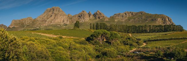 Weintour in Südafrika - Ausflugstipp